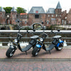 Occasion E-Chopper kopen